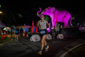 BIB: 
                            <button type="button" onclick="openModal(26552023)" class="btn btn-primary btn-sm float-right btn-popup" data-toggle="modal" data-target=".modal-high-quality">
                        <i class="fas fa-shopping-cart"></i> Add to Cart
                    </button>
                                            <button type="button" onclick="isThisMe(26552023, true)" class="btn btn-success btn-sm float-right btn-popup btn-isme hidden" data-toggle="tooltip" data-placement="bottom" title="นี่คือรูปของคุณใช่ไหม คลิกที่นี่เพื่อเอาเข้าอัลบั้ม">
                        <i class="fas fa-plus"></i> Add to album
                    </button>
                    <button type="button" onclick="isThisMe(26552023, false)" class="btn btn-warning btn-sm float-right btn-popup btn-isnotme hidden">
                        <i class="fas fa-ban"></i> Remove from album
                    </button>